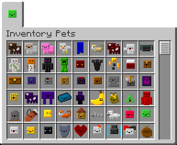 Custom Inventory Pets Mod
